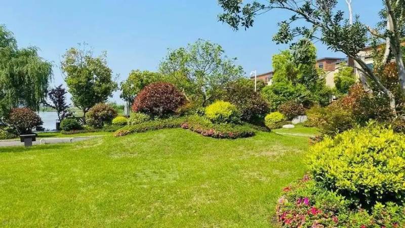 体育社区讨论为什么容易变味?球迷交流的边界与共识怎么建立